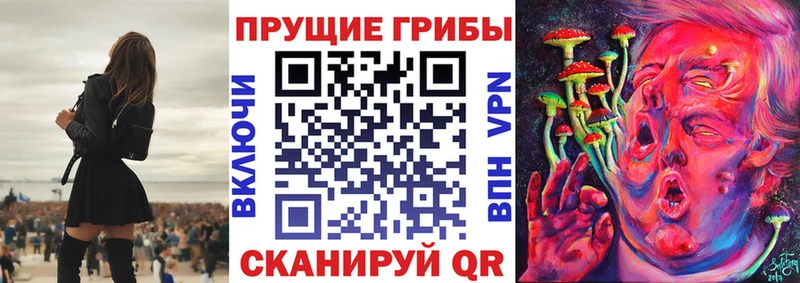 Галлюциногенные грибы ЛСД Тотьма